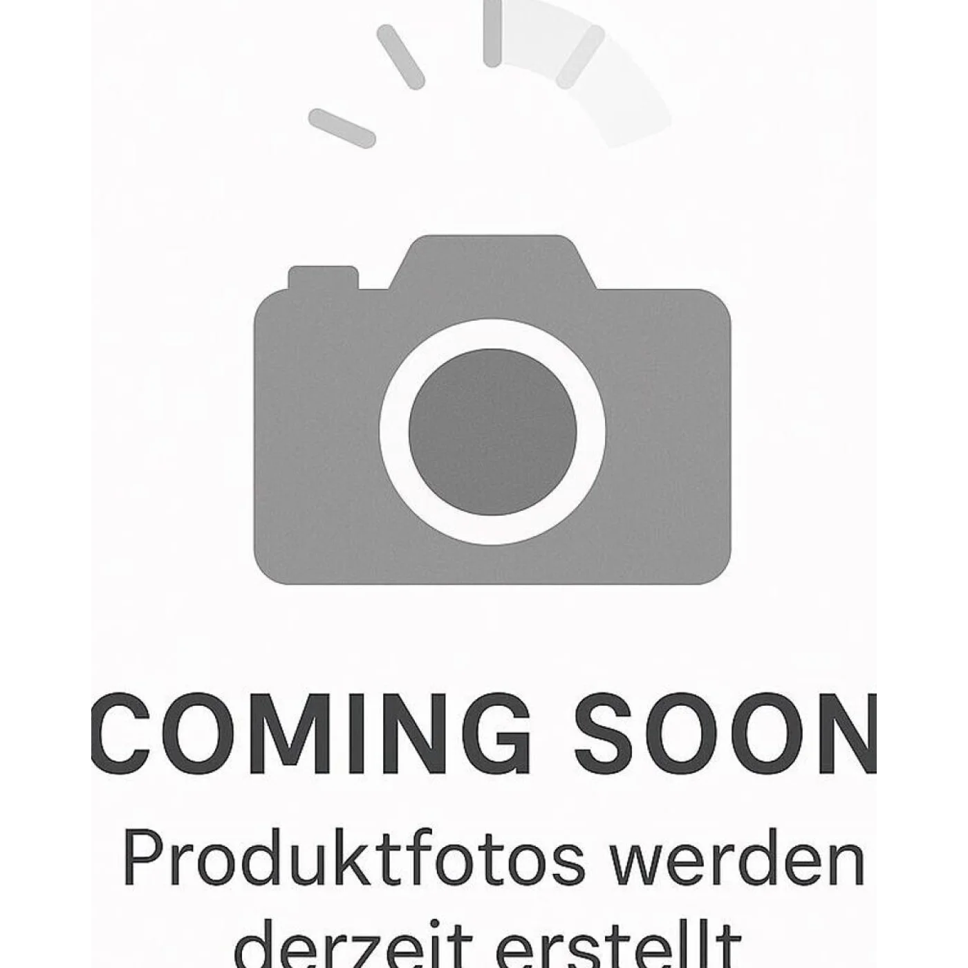 TomTom GO Professional 5 (2nd Gen)