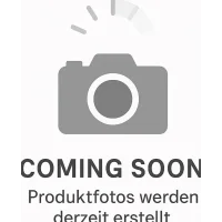 TomTom GO Professional 5 (2nd Gen)