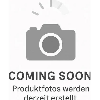 TomTom GO Professional 5 (2nd Gen)