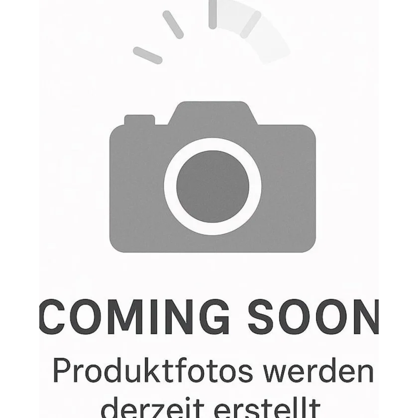 TomTom GO Professional 5 (2nd Gen)